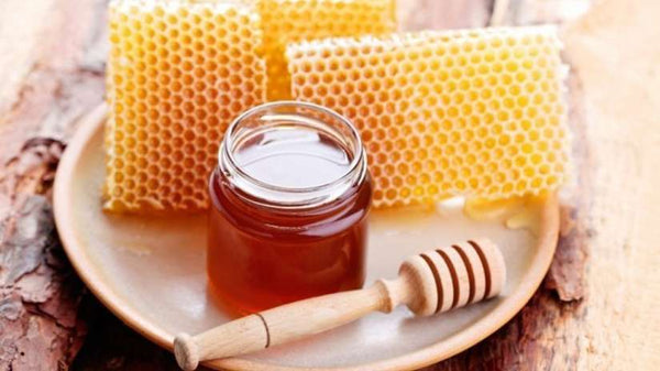 Bee honey: 10 benefits and properties of this food