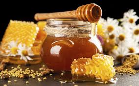 Bee honey: 10 benefits and properties of this food