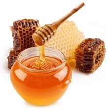 Bee honey: 10 benefits and properties of this food